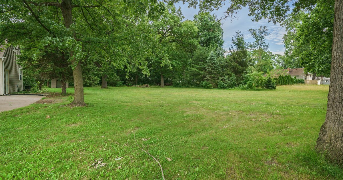 A wide green lawn ringed by mature trees.