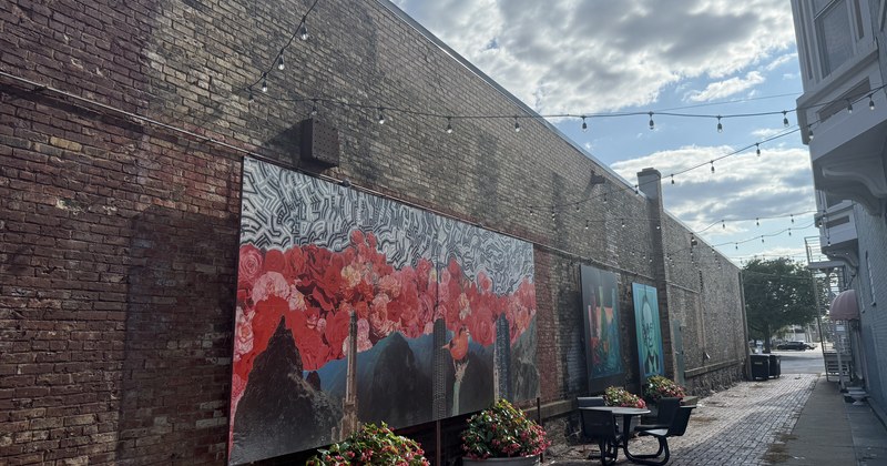A large painted mural covering a brick alley wall, with string lights overhead and planters of flowers below.