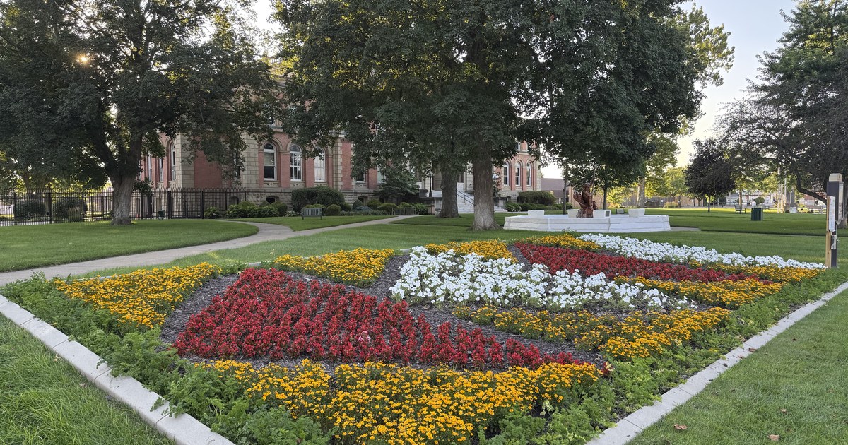 A city flower bed planted in red, white and yellow blooms.